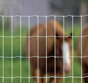 Galvanized Chain Link - Stay Tuff Fence