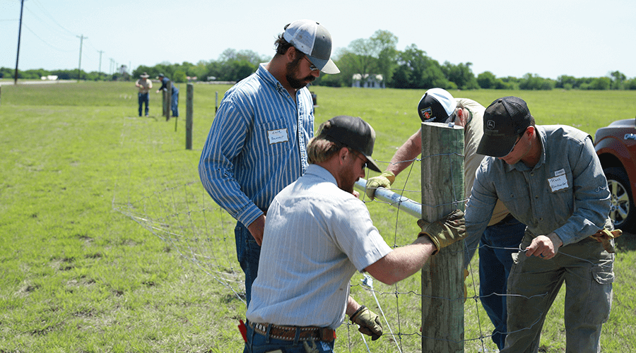 Fence Post Spacing - A step-by-step guide