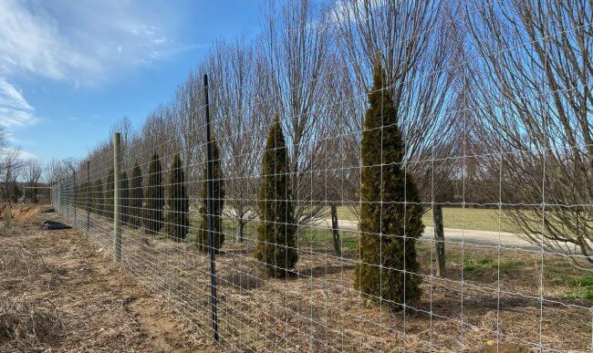 What is the best fence to keep deer contained or excluded? - Stay