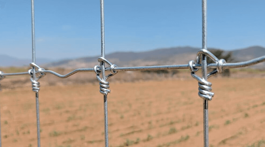 Gaucho wire clearance fence