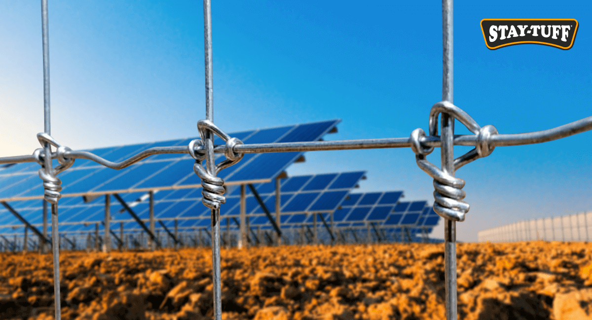 Solar Farm Perimeter Protection: What You Need to Know