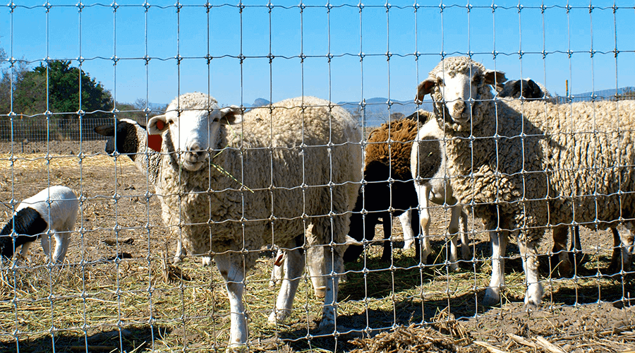 Get added electric conductivity with STAY-TUFF electric fencing 