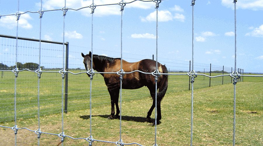 Keep horses safe with STAY-TUFF