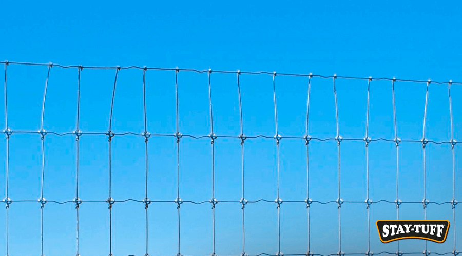 The spacing between vertical wires is fundamental to keep most goats safe