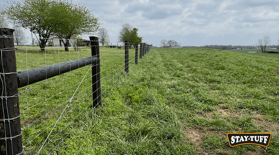 Trim the trees around your fence regularly