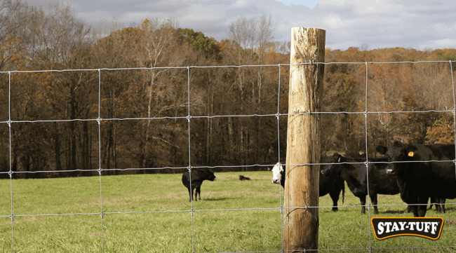 Posts run through the entire fence line, supporting it