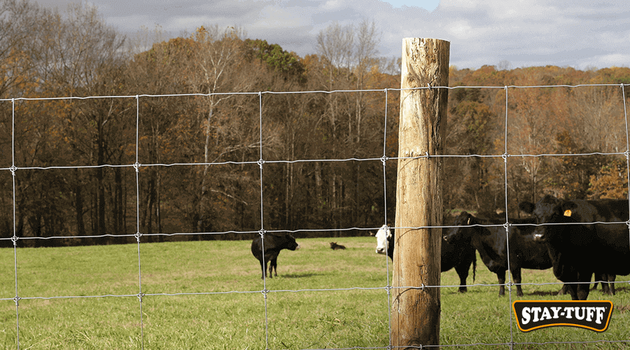 How to Build a Cattle Fence A StepByStep Guide StayTuff