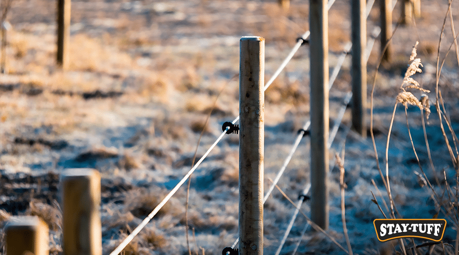 Electric fencing keeps animals contained and predators out