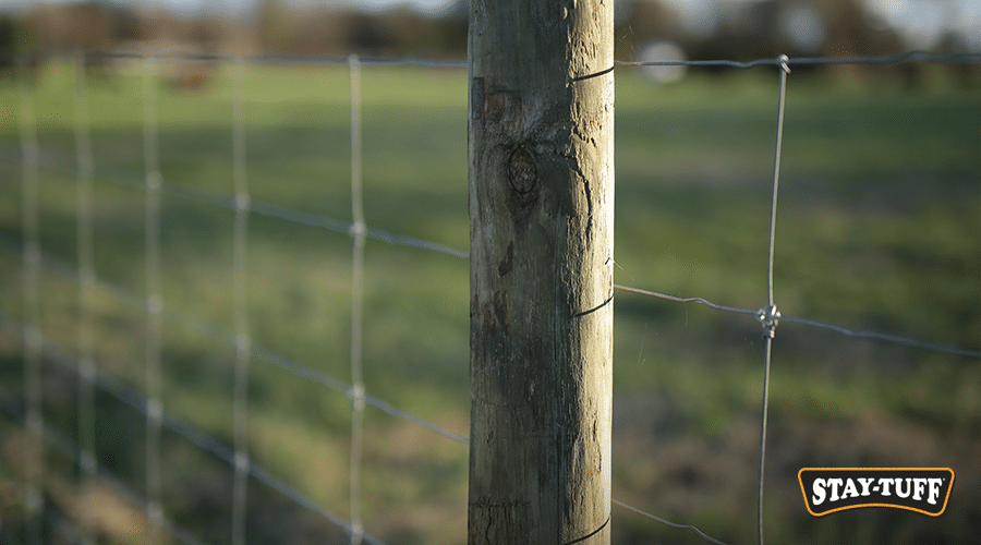 A wood fence post can last for up to 20 years