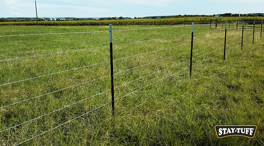 Fence posts keep the wire in position