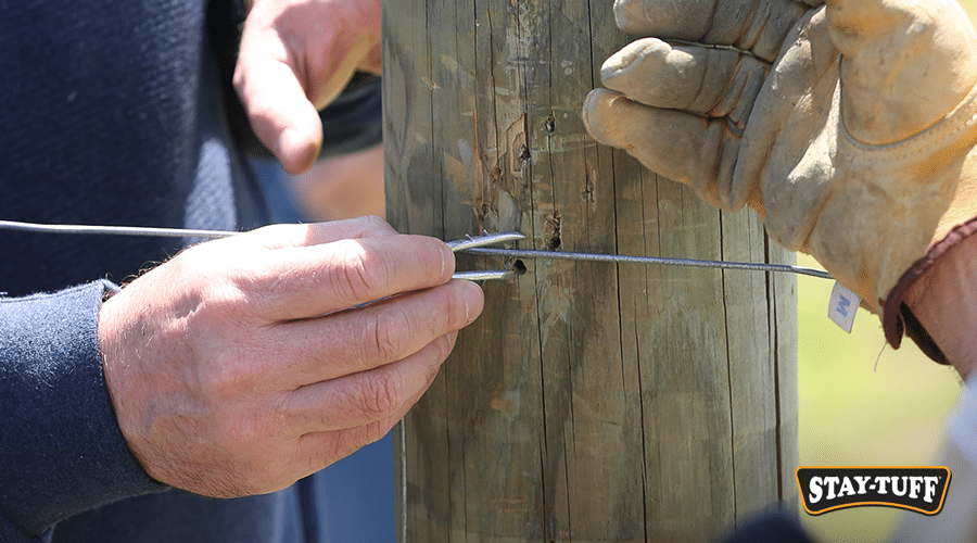 Staples are an important part of fence installation