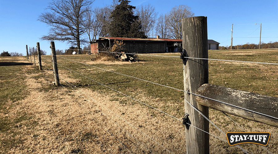 Adding electric fence wires guards livestock and deters predators