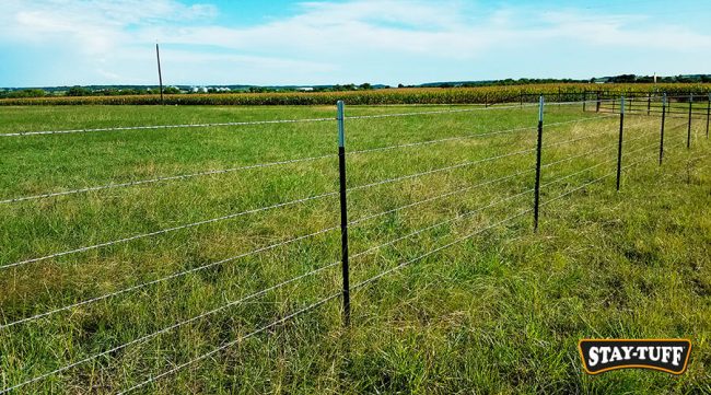 STAY-TUFF Barbed Wire can be used on its own or along with other solutions