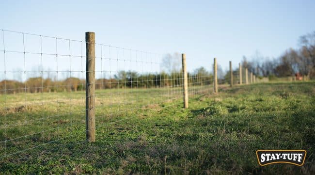 With STAY-TUFF, your posts can be up to 25' apart