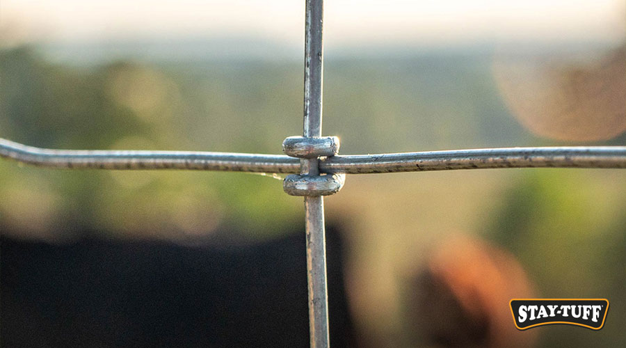 Choose fences and wires that will turn your purchase into an investment