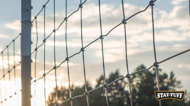 Fences create a physical barrier against predators