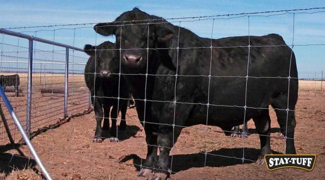 Temporary fencing has multiple applications for a variety of projects