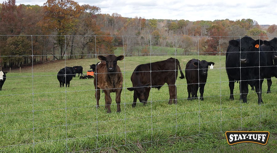 The right fence is essential to keep your livestock secure.