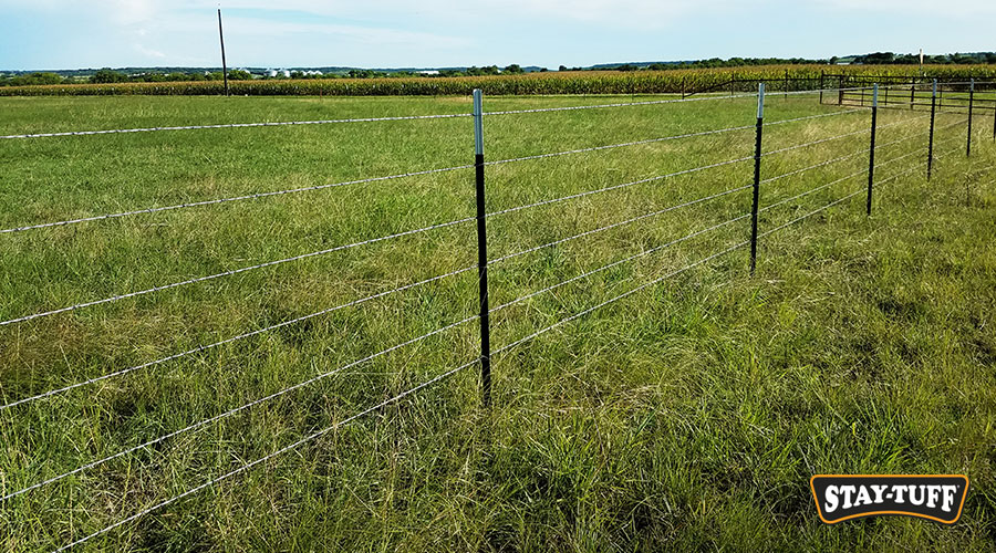 Barbed Wire deters access to intruders like animals or predators.