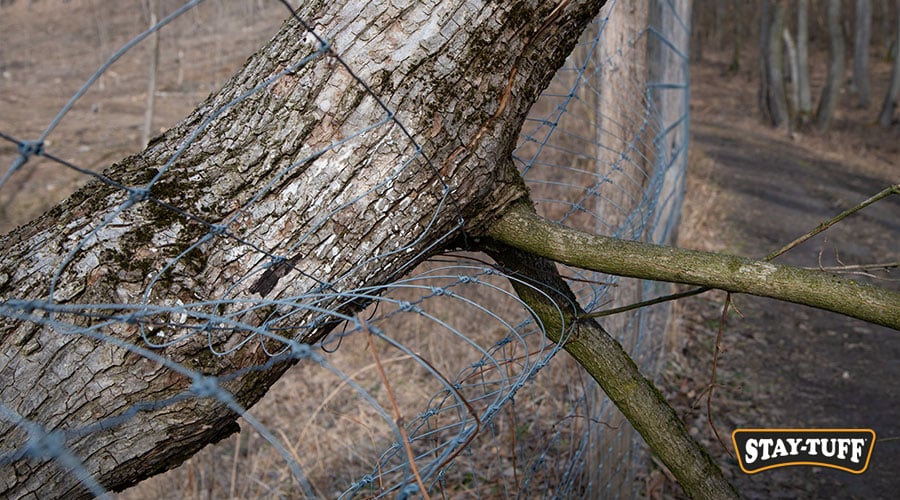 Identifying the cause of your leaning fence will help you determine your course of action