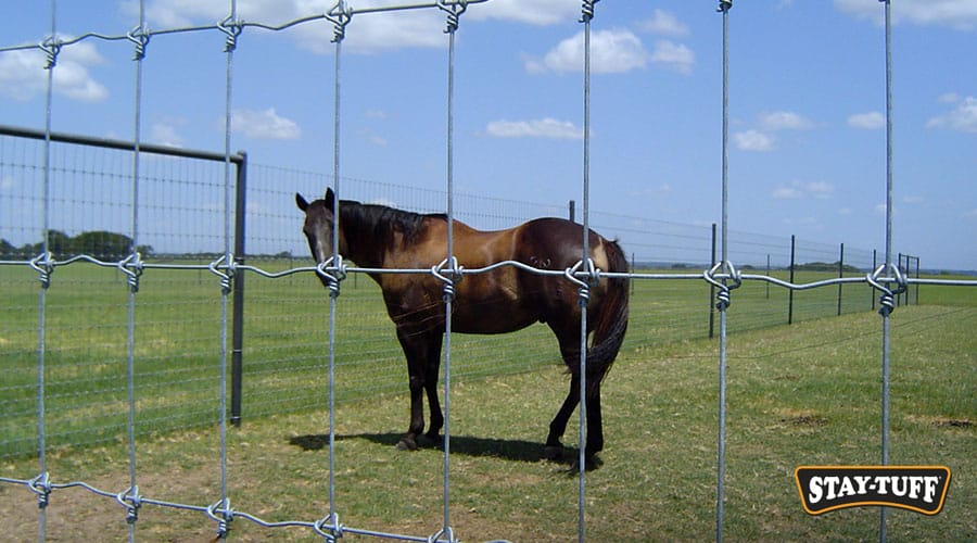 Safe fences are extremely important for horse owners
