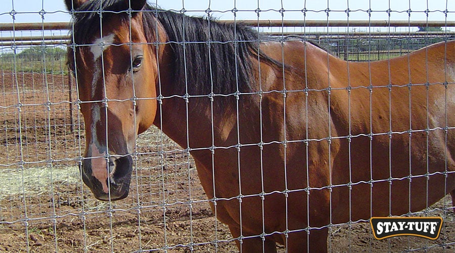 A good fence is essential for horse owners
