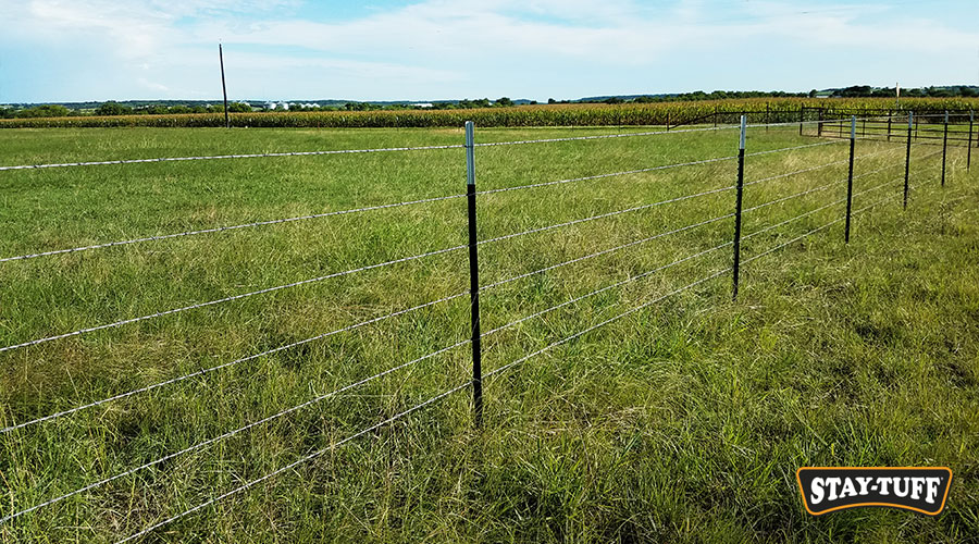 STAY-TUFF Barbed Wire works well on its own or along an existing fence line