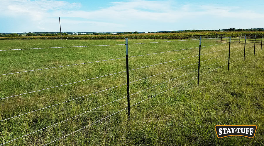 Choosing a steel fence means choosing security, safety and extended life