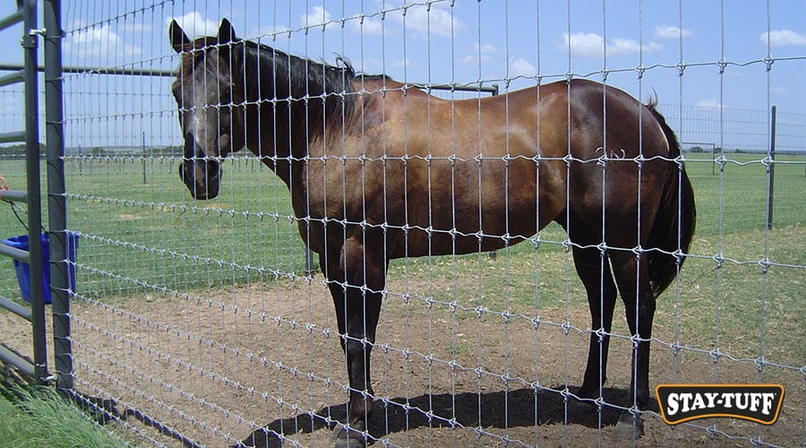 The best horse fence will retain its shape even after impacts or harsh weather conditions