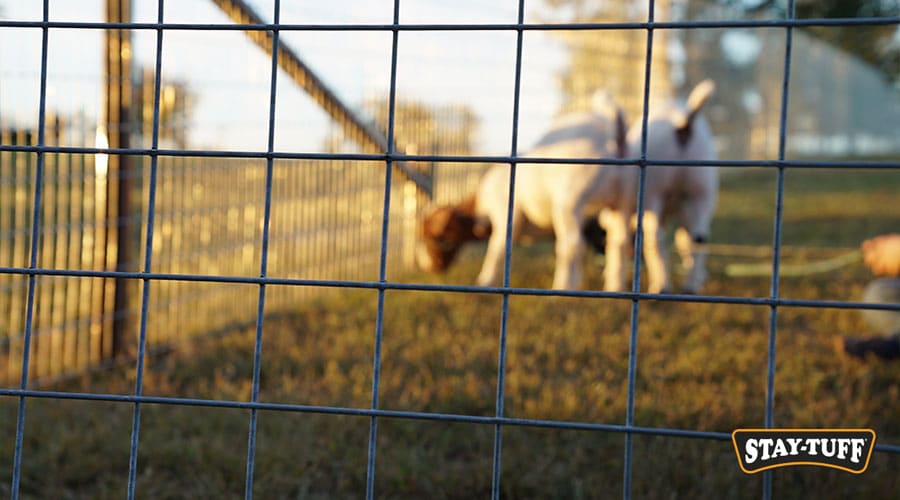 Selecting a heavy duty panel for your property or perimeter is crucial for your security and your satisfaction.