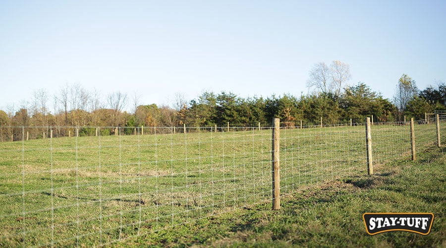 When installed correctly, both choices offer great advantages and performance