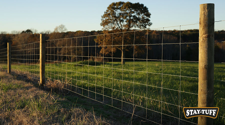 A fencing project that will be an investment is a priority for your rural property