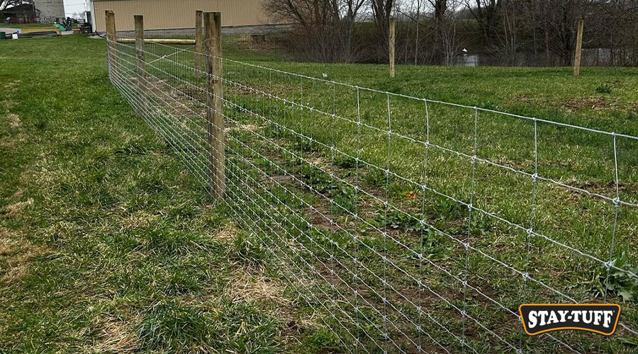 Unlike solid barriers, wildlife friendly fences are better for animals and their surroundings