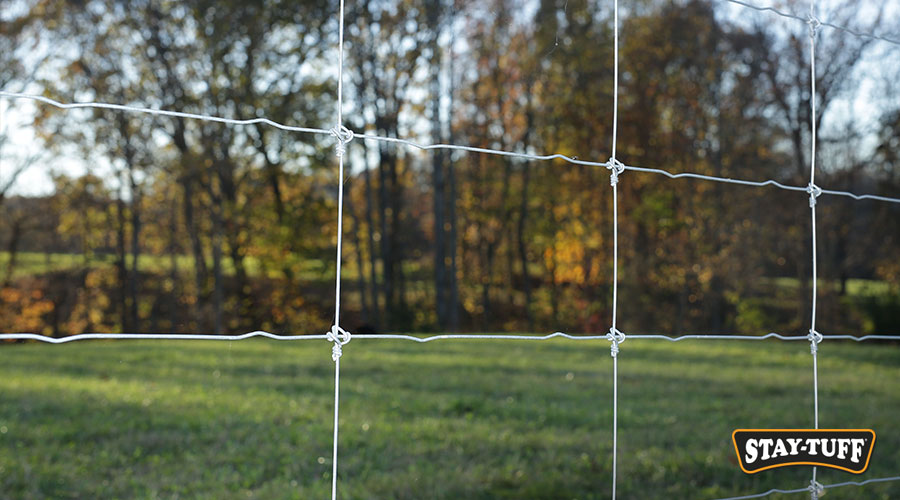 Spacing between vertical stays and horizontal wires can prevent injuries