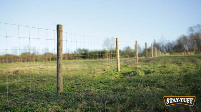 Posts and the chosen material affect fencing costs - that's why STAY-TUFF is the smart choice!