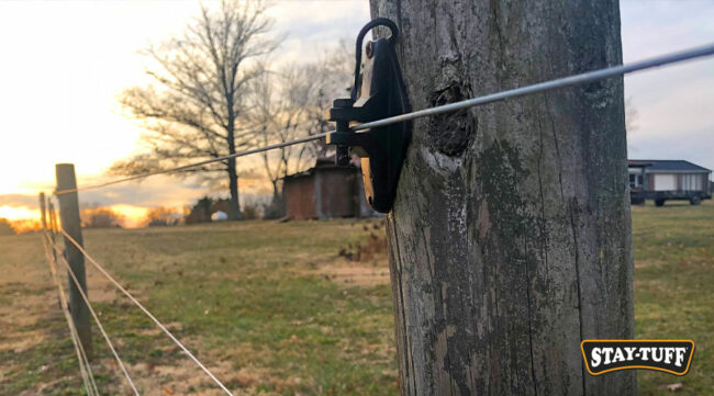 Electric fences discourage animals from getting close to fence wires