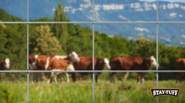 These panels are one of the best solutions to keep livestock safe