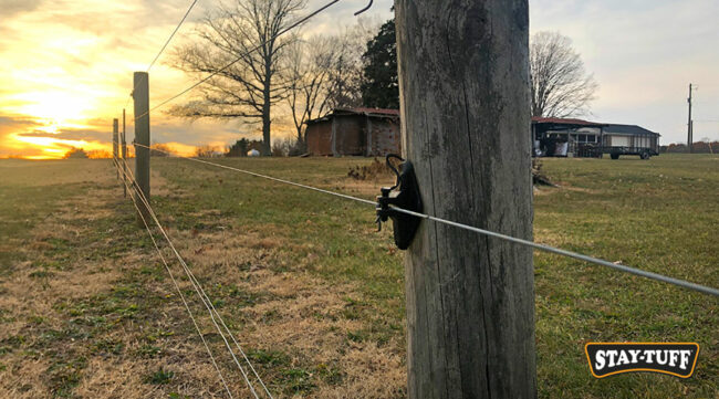 Electric fencing discourages animals from approaching your perimeters