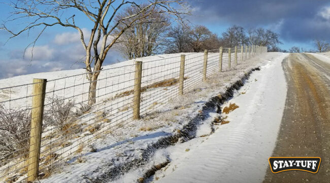 Inspect all areas of your fence to prevent animals escaping or collapse of the structure