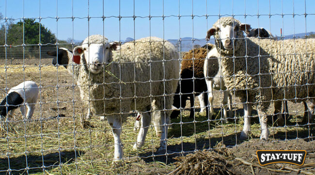 Small openings offer protection against predators and keeps animals' heads from getting stuck
