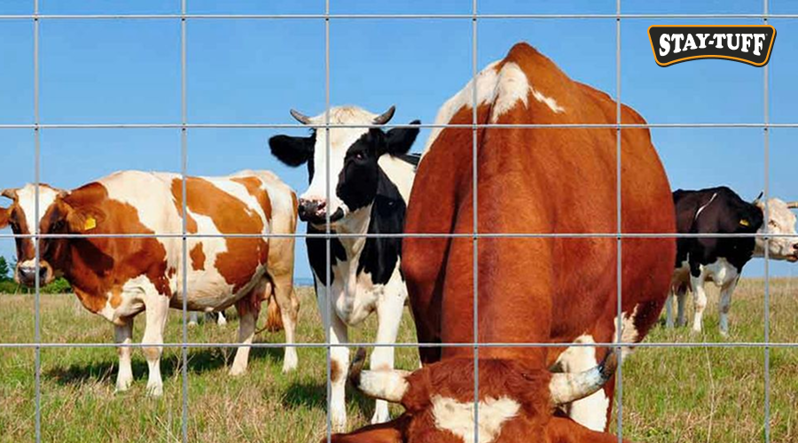 Continuous Fence Panels-cover