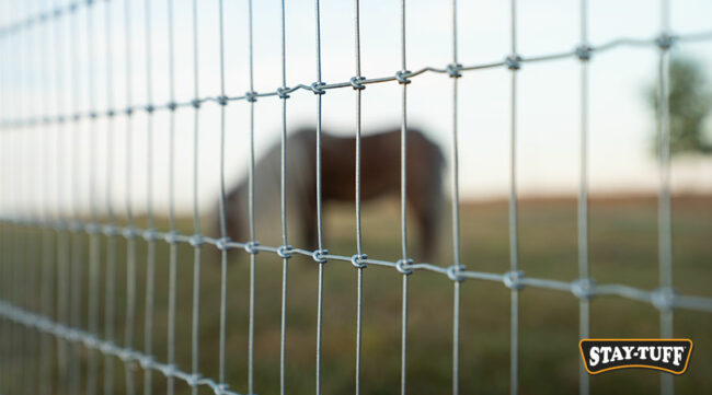 A well-built fence keeps animals safely contained while preventing predators and wildlife from entering your land