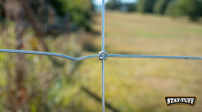 Modern fence wires are galvanized, which provides strength, flexibility, and resistance to corrosion