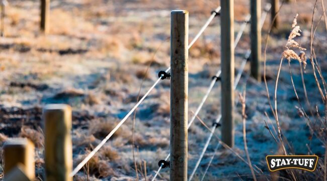 An electric fence enhances the protection around orchards and gardens