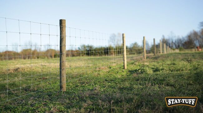 A fence can work for both confinement and protection against predators