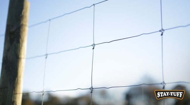 High tensile wire is engineered for resistance over time, making them ideal for orchard protection