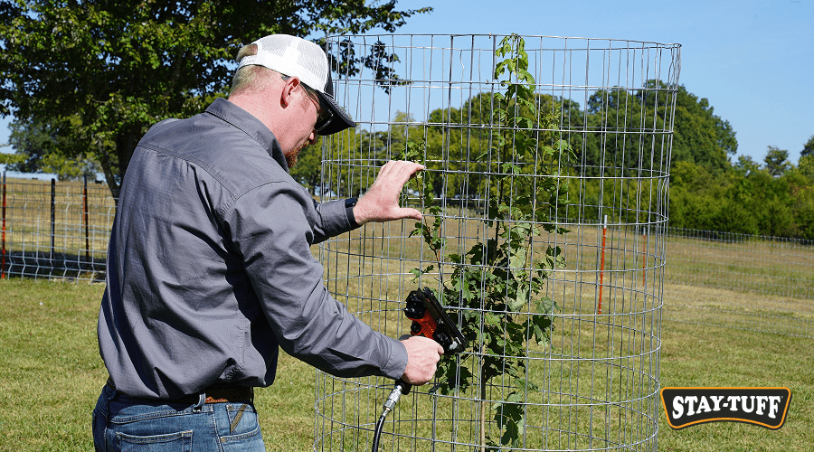 Protection of your outdoor space begins with garden fence panels