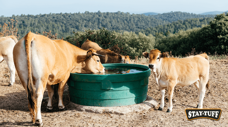 Access to clean water improves your livestock's overall health