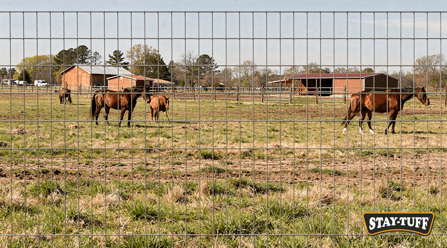 STAY-TUFF 2X4 Horse Panels are designed specifically with horse safety in mind