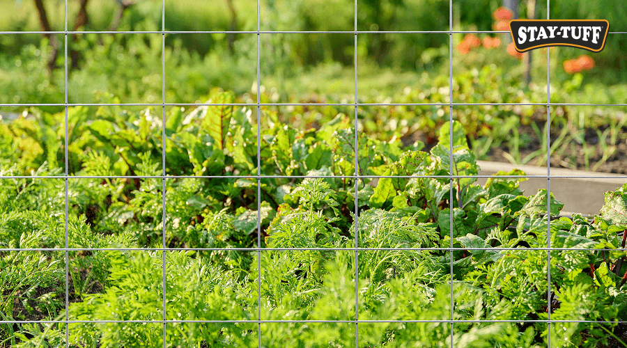 Sturdy and durable, STAY-TUFF panels create great fencing solutions for your ranch or property